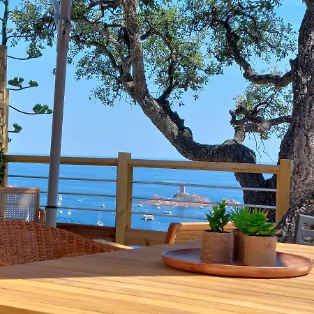 L'arbre Perche مكان تخييم