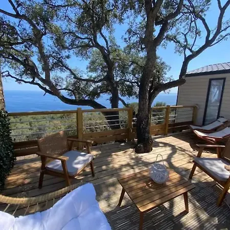 L'arbre Perche Сен-Рафаэль